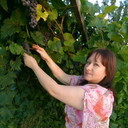 ���������� ����, ���� ������� ��������, 50 ���, ������������ ��� ������, ����� � ���������, c�������� ���������