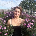 ���������� ������, ���� ������� ���������, 62 ����, ������������ ��� ������, ����� � ���������, c�������� ���������