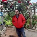 ���������� ��������, ���� ������� ����, 44 ����, ������������ ��� ������, ����� � ���������