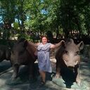  --,   , 34 ,     , c 