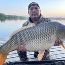 ���������� ������, ���� ������� �������, 58 ���, ������������ ��� ������, ����� � ���������, c�������� ���������