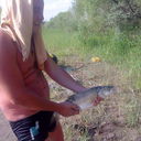 ���������� ������, ���� ������� ANDREINO, 43 ����, ������������ ��� ����� � ���������, c�������� ���������