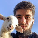 ���������� ������, ���� ������� Amir, 26 ���, ������������ ��� ������, ����� � ���������