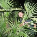 ���������� ����, ���� ������� �����, 35 ���, ������������ ��� ������, ����� � ���������, c�������� ���������