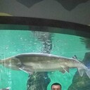  ,   , 39 ,   ,   