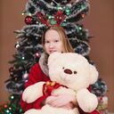 ���������� ������������, ���� ������� �������, 27 ���, ������������ ��� ������, ����� � ���������