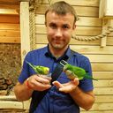 ���������� �����, ���� ������� ������, 41 ���, ������������ ��� ������, ����� � ���������, c�������� ���������