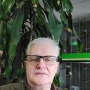 ���������� ������, ���� ������� ������, 66 ���, ������������ ��� c�������� ���������