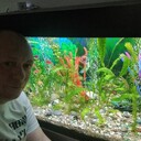 ���������� �������, ���� ������� �����, 42 ����, ������������ ��� ������, ����� � ���������, c�������� ���������