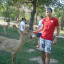 ���������� ������, ���� ������� ����, 41 ���, ������������ 