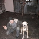  ,   , 33 ,  