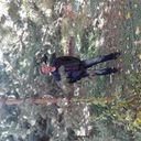 ���������� ���������, ���� ������� �����, 53 ����, ������������ ��� ������, ����� � ���������, c�������� ���������