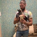 ���������� ���������, ���� ������� ������, 38 ���, ������������ ��� ������, ����� � ���������