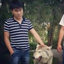 ���������� ������, ���� ������� Shamil, 37 ���, ������������ ��� ������, ����� � ���������, c�������� ���������