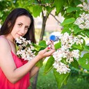 ���������� ������, ���� ������� ���, 37 ���, ������������ ��� ������, ����� � ���������, c�������� ���������