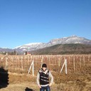 ���������� ����, ���� ������� �������, 38 ���, ������������ ��� ������, ����� � ���������, c�������� ���������