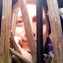  ,   French, 55 ,   ,   , c 