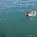  ,   , 31 ,   ,   
