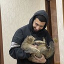 ���������� ����, ���� ����� Sexavet, 25 ���, ������������ ��� ������, ����� � ���������