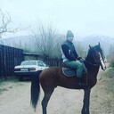  -,   Rustik, 37 ,   ,   