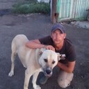 ���������� ����, ���� ������� ������, 37 ���, ������������ ��� ������, ����� � ���������, c�������� ���������