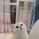  ,   , 79 ,  