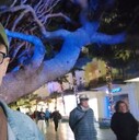  ,   , 40 ,   ,   