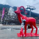 ���������� ���������, ���� ������� Natalia, 39 ���, ������������ 