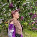 ���������� ������, ���� ������� ����, 47 ���, ������������ ��� c�������� ���������