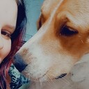 ���������� ����, ���� ������� �����, 24 ����, ������������ ��� ������, ����� � ���������, ���������