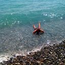 ���������� �����, ���� ������� �����, 36 ���, ������������ ��� ������, ����� � ���������, c�������� ���������