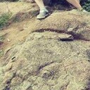  ,   , 34 ,   ,   , 