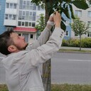 ���������� ������, ���� ������� �������, 36 ���, ������������ ��� ������, ����� � ���������, c�������� ���������, ���������