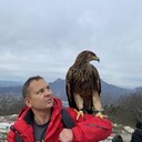 ���������� �����, ���� ������� ���������, 36 ���, ������������ ��� ������, c�������� ���������