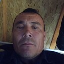  -,   , 51 ,   ,   , c 