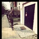 ���������� �����������, ���� ����� Dmitry, 22 ����, ������������ ��� ������, ����� � ���������, c�������� ���������, ���������