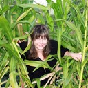 ���������� �������, ���� ������� �����, 41 ���, ������������ ��� ������, ����� � ���������, c�������� ���������