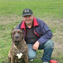 ���������� �����-���������, ���� ������� �����, 48 ���, ������������ ��� ����� � ���������, c�������� ���������