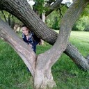 ���������� ����, ���� ������� �����, 32 ����, ������������ ��� c�������� ���������