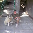 ���������� ����, ���� ������� ��������, 38 ���, ������������ ��� ������, ����� � ���������, c�������� ���������