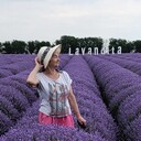 ���������� ���������, ���� ������� ���������, 81 ���, ������������ ��� ������, ����� � ���������