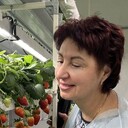  ,   , 55 ,     , c , 