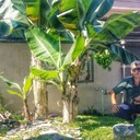 ���������� ���������, ���� ������� Furqat, 39 ���, ������������ ��� ������, ����� � ���������, c�������� ���������