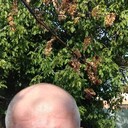  ,   , 41 ,   ,   