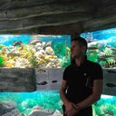 ���������� �����������, ���� ������� �������, 40 ���, ������������ ��� ������, ����� � ���������