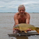  ,   DBNFK, 60 ,     