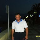  -,   Toro rosso, 51 ,   