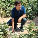 ���������� ��������, ���� ������� ��������, 35 ���, ������������ ��� ������, ����� � ���������