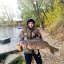 ���������� ������, ���� ������� ��������, 38 ���, ������������ ��� ������, ����� � ���������