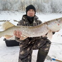 ���������� ���������, ���� ������� ���������, 36 ���, ������������ ��� ������, ����� � ���������